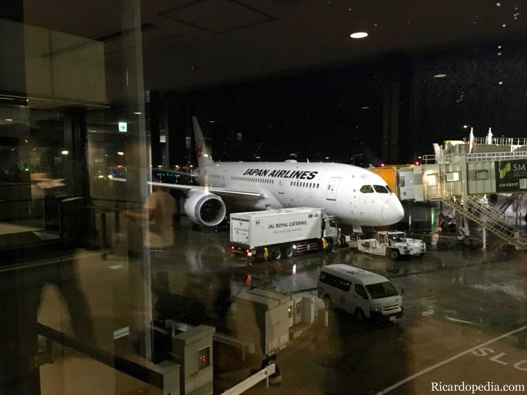 Japan Tokyo Leaving Airlines